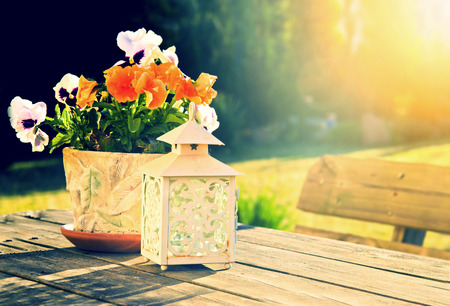 Nature in summer. Flowers and the lantern on the wooden table batched in summer sunlight.の写真素材