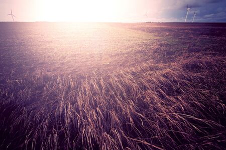 Sunny field at summer. Retro vintage instagram picture.の写真素材