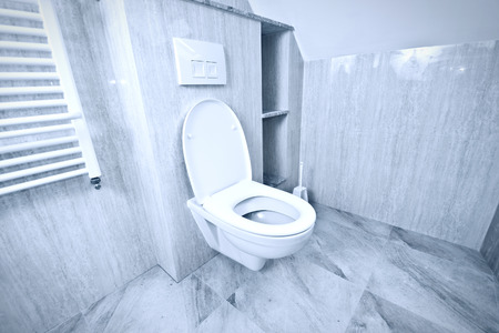 White toilet bowl in the restroom.の写真素材