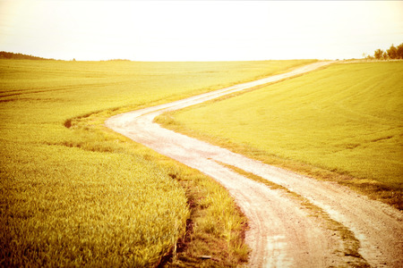 Road to new opportunities with bright future. Dream into reality.