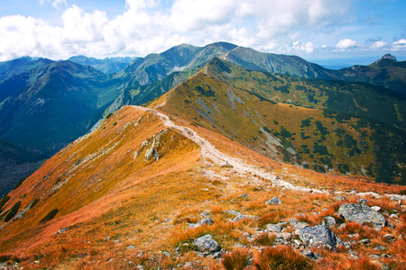 Czerwone Wierchy in Tatry Mountains, Carpathia. Fantasy and colorfull nature landscape. Nature conceptual image.の写真素材