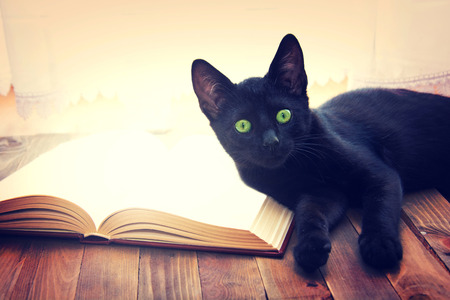 Open book and black cat on wooden table. Knowledge and education conceptual image.の写真素材