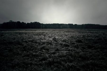 Dark autumn field with dramatic cloudy sky. Nature.の写真素材