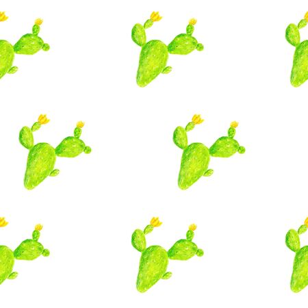 Colored pencil tropical pattern with white background Cactus. Nature ornament. seamless pattern with hand drawn cactus. It can be used for printing on fabric, wallpaperのイラスト素材