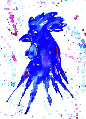 watercolor rooster blue. Hand drawn illustration for your graphic design. Rooster - a symbol of the 2017 New Yearの写真素材