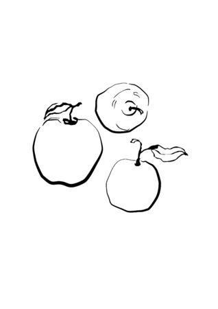 Hand drawn sketch apple Eco food. Vector illustration. pear fruit, on the white background.のイラスト素材