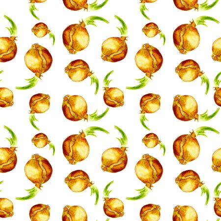 Seamless background with Watercolor onionの写真素材