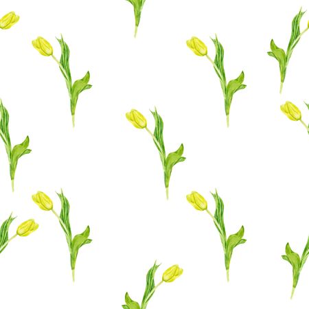 Seamless background with plants. Watercolor pattern with Tulip on white backgroundの写真素材