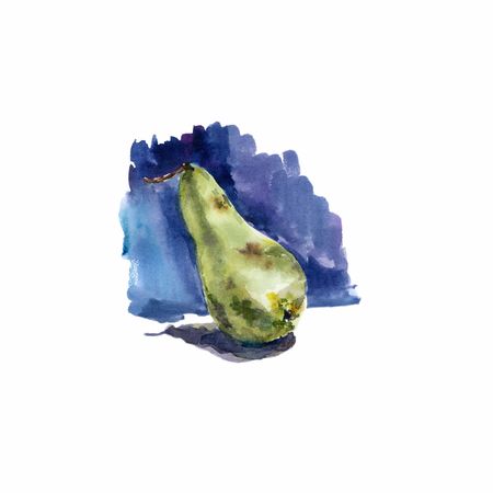 Watercolor pear on a blue background. Raster illustration.の写真素材
