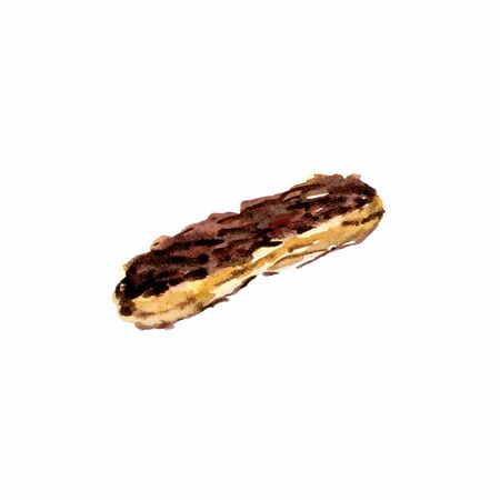 Eclair with chocolate glaze watercolor. Hand drawn isolated eclair on white back groundの写真素材