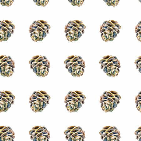 Seamless pattern with cones. Illustration in watercolor style