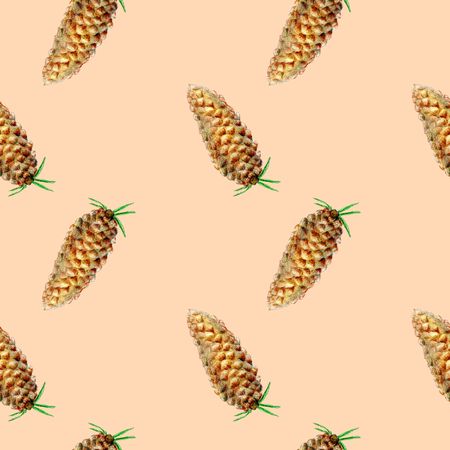 Seamless pattern with cones and spruce. Illustration in watercolor style