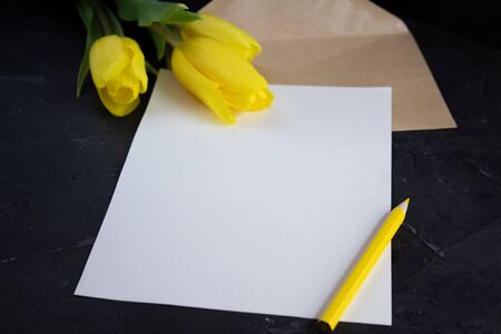 Yellow tulips on the edge of white paper for text and pencil on a dark background. A blank sheet of paper with an envelope and copy space.の写真素材