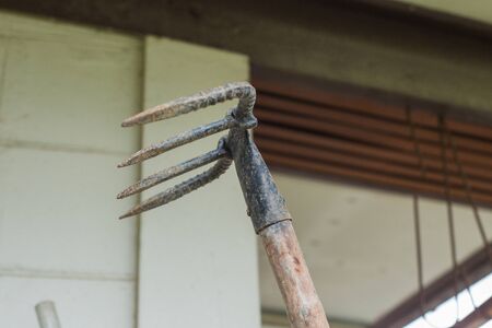 Old garden hoe toolの写真素材