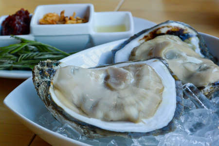 fresh oyster