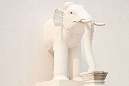 white elephant in tample of thailandの写真素材