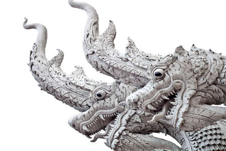 white naga の写真素材