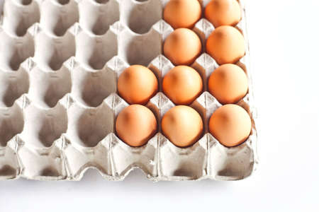Egg pack on white background