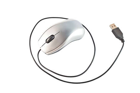 Mouse on white backgroundの写真素材