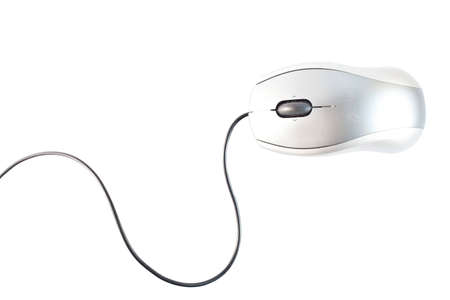 Mouse on white backgroundの写真素材