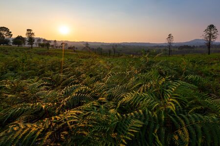 Beautiful evening light with field countryside. Wonderful springtime at mountains. Nature tourism concept.の写真素材