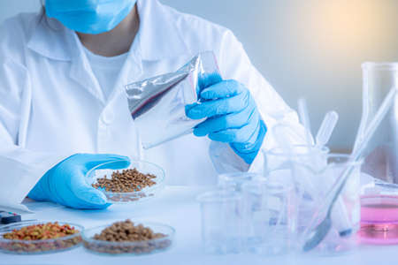 Quality control personnel are inspecting the quality of pet food. Quality control process in pet food industry.の写真素材