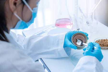 Quality control personnel are inspecting the quality of wet pet food. Tuna cat food in can. Wet and Dry pet food quality. Quality control process in pet food industry.の写真素材