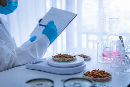 Focused dry pet food on plate. Quality control personnel are weighing dry pet food for inspecting the quality. Quality control process of pet food industry.の写真素材