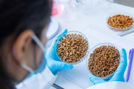 Focused dry pet food on plate. Quality control personnel are inspecting the quality of dry pet food. Quality control process of pet food industry.の写真素材