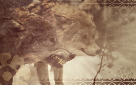 Illustration of two angry wolfs with Native American ornamentsの写真素材