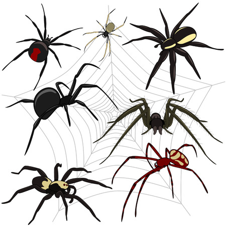 Vector of spiders set on white backgroundのイラスト素材
