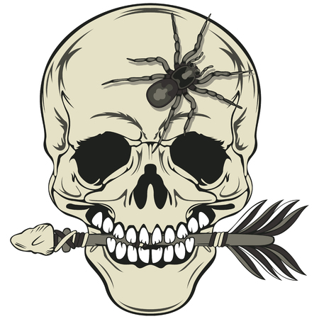 Vector of human skull with arrow in a mouth and big spider on foreheadのイラスト素材