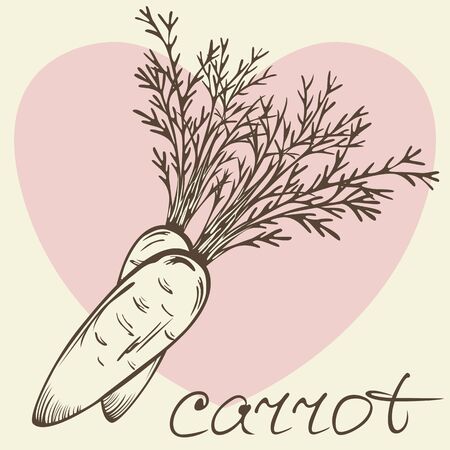 Vector of two hand-drawn carrots with tops, word carrot and heartのイラスト素材