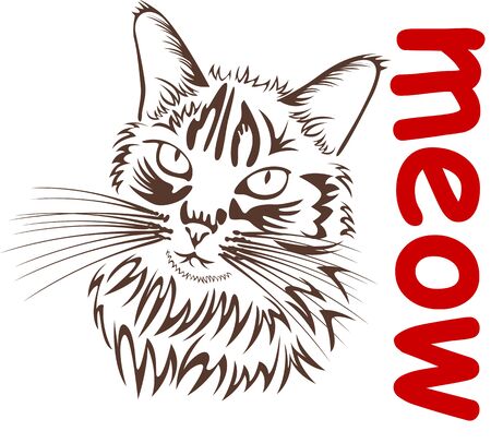Cat with word Meow on white background. Vector imageのイラスト素材