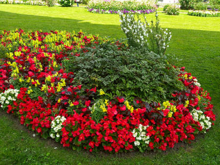 Horizontal photo of beautiful flower bed in a parkの写真素材