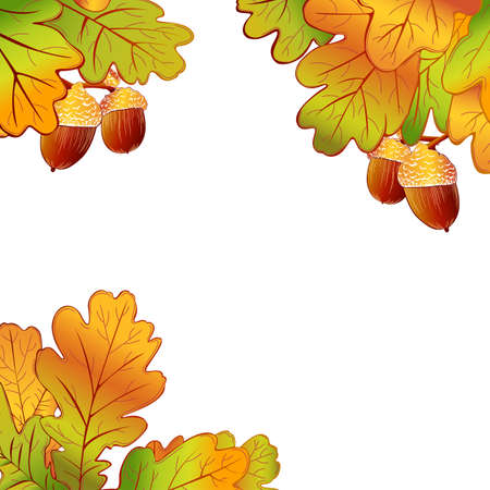 Oak tree leaves in different variations. Vector imageのイラスト素材