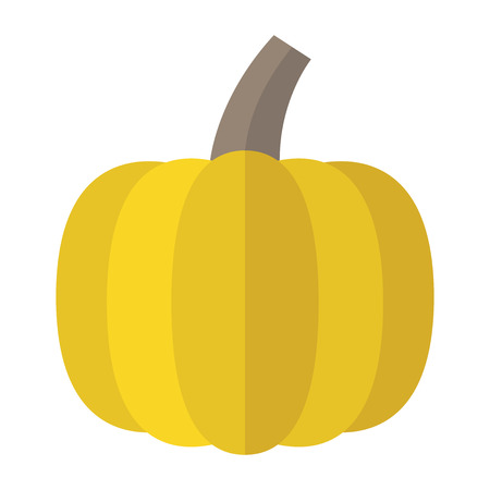 Fresh ripe yellow pumpkin isolated on white background. Flat design. Illustration. EPS 8, no transparencyのイラスト素材