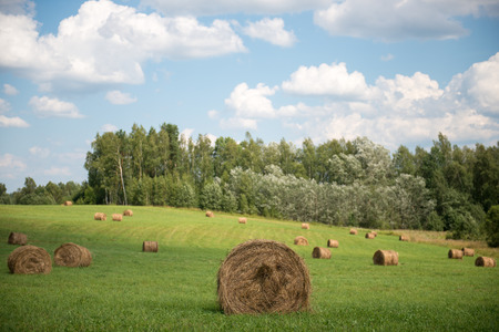 Bales of hay in a fieldの写真素材
