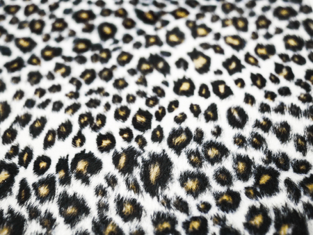 Texture of leopard fabricの写真素材