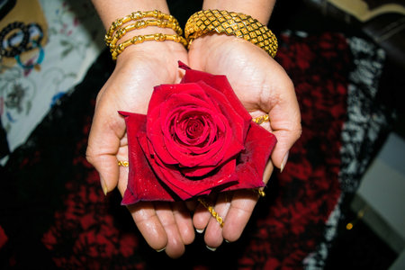 Woman's hand with gold bangles holding red rose, Valentin'es day concept.