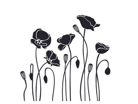 Poppy flower flower wall sticker office vinyl wallのイラスト素材