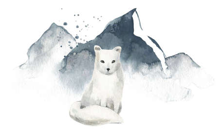 Abstract gray foggy mountains and white fox.の写真素材