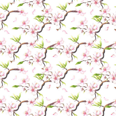 Watercolor painted white cherry blossoms seamless pattern.の写真素材
