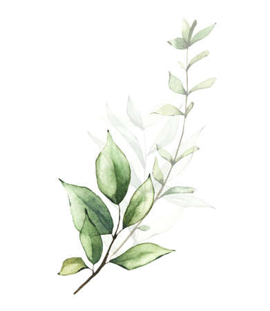 Delicate greenery arrangement watercolor painted. Bouquet with branches, green leaves.の写真素材