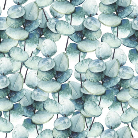 Blue wild eucalyptus twigs and branches. Watercolor floral seamless pattern.の写真素材