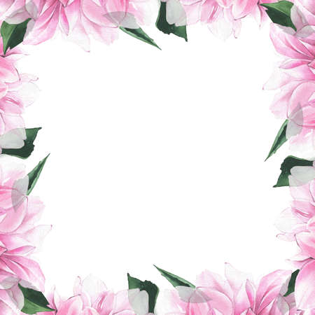 Watercolor hand painted pink dahlia and dark green leaves frame. Floral arrangement on white backgroundの写真素材