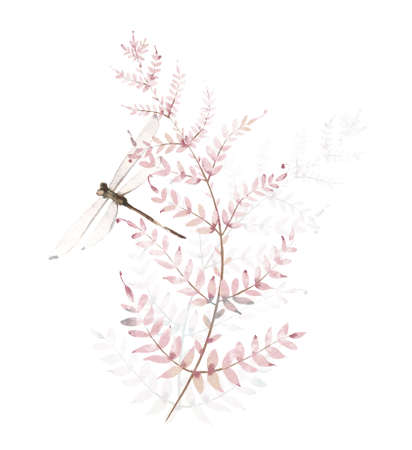 Watercolor bouquet. Wild pink fern branches, leaves, twigs and dragonfly. Hand drawn floral illustrationの写真素材