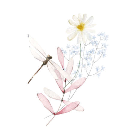 Watercolor bouquet with wild pink and blue flowers, chamomile, branches, leaves, twigs, dragonfly. Floral illustrationの写真素材