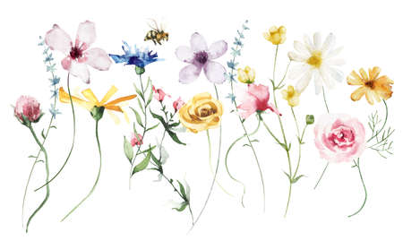 Watercolor bouquet with diverse wild colourful flowers, twigs. Violet, blue and yellow flowers. Floral illustrationの写真素材