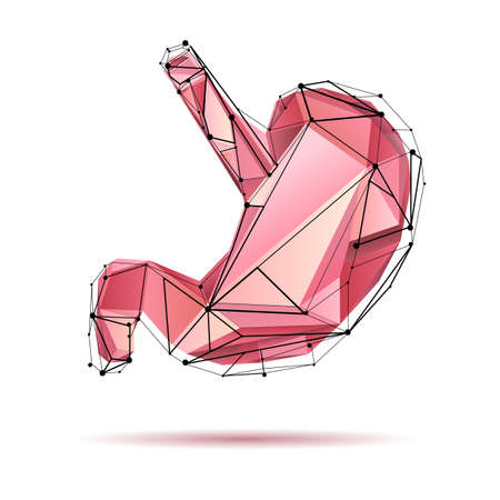 Low poly style isolated stomach in shades of pink color.のイラスト素材